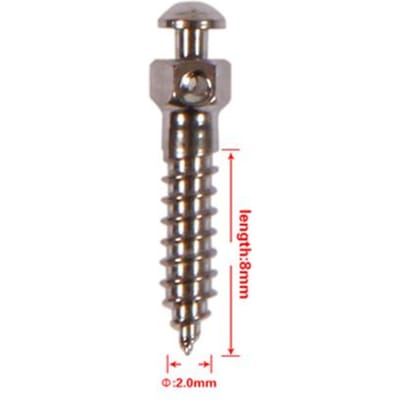 Tandheelkundige Orthodontische Mini-Implantaat Micro Titanium Schroef Zelfborend Gereedschap voor Tandheelkunde Anker Nagel