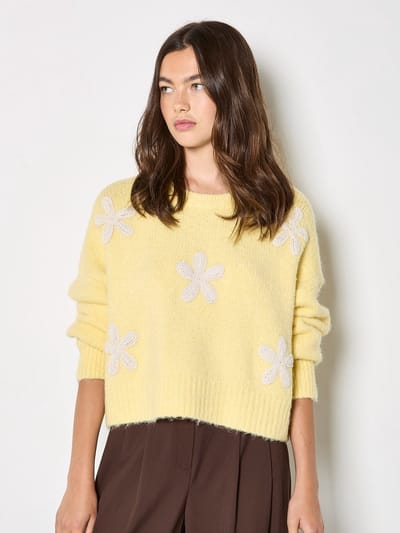 Crochet Daisies Boxy trui