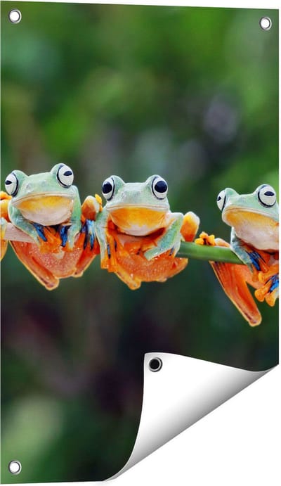 Gards Tuinposter Groep Kikkers op een Tak - 40x60 cm - Tuindoek - Tuindecoratie - Wanddecoratie buiten - Tuinschilderij