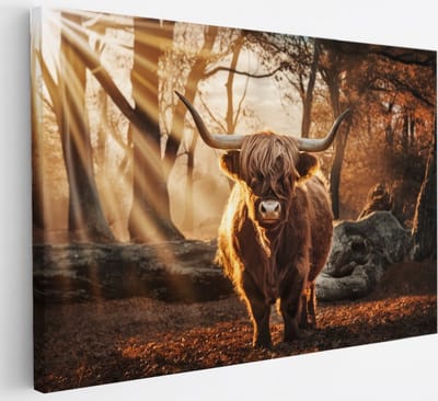 Saammp Canvas Schilderij - Schotse Hooglander Koe in een bos met zonsondergang - Dieren - Natuur - 30x20 - Foto op canvas - Wanddecoratie - muurdecoratie Woonkamer - Slaapkamer decoratie - Canvas Print