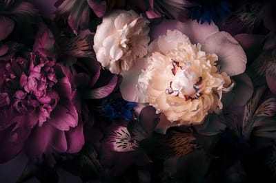 Glasschilderij 120x80x0.4 pink and purple flowers
