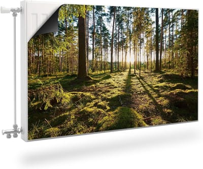 Radiatorbekleding - Radiatorfolie - Interieur Decoratie - Magnetische Bevestiging - 80x60 cm - Boslandschap