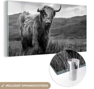 MuchoWow® Glasschilderij 120x60 cm - Schilderij acrylglas - Schotse Hooglander - Berg - Water - Natuur - Koe - Foto op glas - Schilderijen