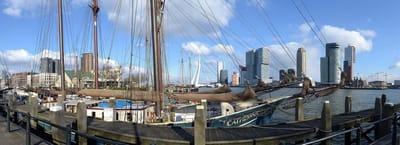 Fotobehang Rotterdam Skyline en Erasmusbrug 250 x 260 cm - € 175,--