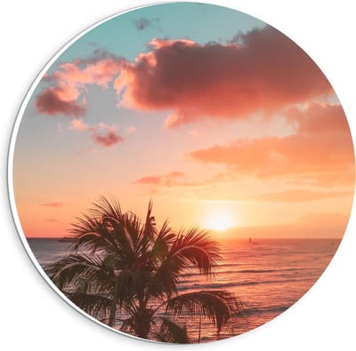 KuijsFotoprint - Schilderij - Palmboom Bij Zonsondergang - Groen, Blauw En Roze - 20 X 20 Cm
