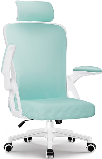 Bureaustoel-ergonomische bureaustoel-bureaustoelen voor volwassenenOpklapbare armleuningen-2D lendensteun-Wit Cyaan