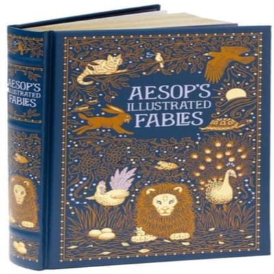 Aesops Geïllustreerde Fabels Barnes amp Noble Verzamelaarseditie door Aesop Hardback Boek 9781435144835