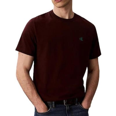 T-shirt Korte Mouw Calvin Klein Jeans Easy LV04RC275G