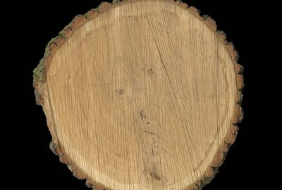 Fotobehang OakSlice DD108675 A.S. Création AP Digital 4 | 3D Fotobehang