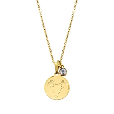 CO88 Collection Zodiac 8CN-26073 Stalen Collier met Hanger - Sterrenbeeld Steenbok - Lengte 42 + 5 cm - Goudkleurig