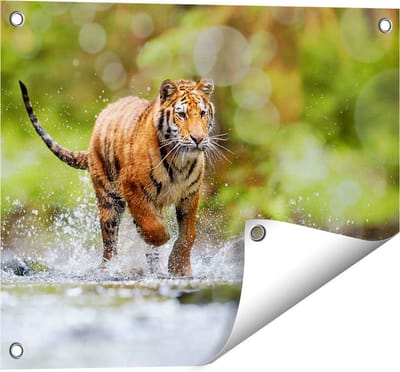Gards Tuinposter Tijger Loopt in het Water - 50x40 cm - Tuindoek - Tuindecoratie - Wanddecoratie buiten - Tuinschilderij