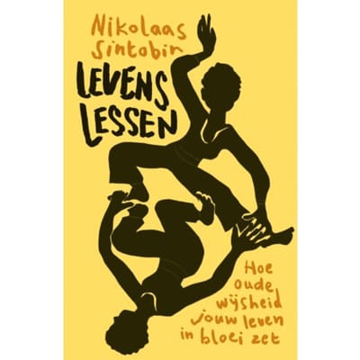 Levenslessen - Nikolaas Sintobin