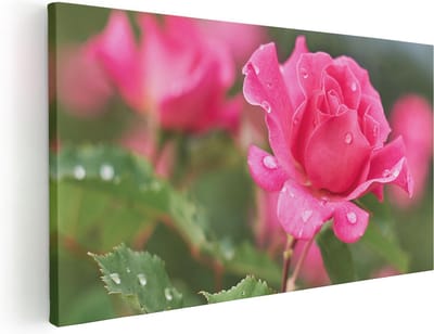 Artaza Canvas Schilderij Roos - 40x20 cm - Klein - Wanddecoratie Bloemen - Muurdecoratie Bloem - Schilderijen Op Canvas