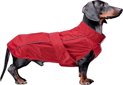Waterdichte Hondenjassen voor Teckels en Puppies, Winterjas met Gewatteerde Fleece Voering, Verstelbare Strap en Buikbescherming - Rood - S
