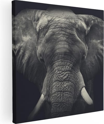 Artaza Canvas Schilderij Olifant - 80x80 cm - Wanddecoratie Dieren - Muurdecoratie Dierenkop - Schilderijen Op Canvas Afrika