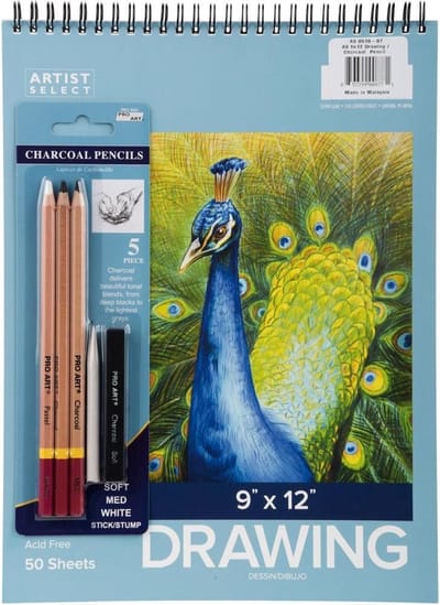 Pro Art - Houtskool tekenset inclusief schetsboek van 22x30 cm