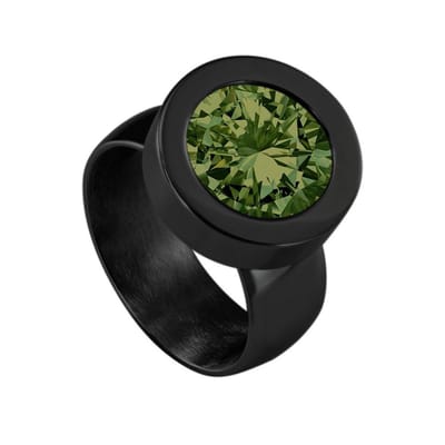Quiges RVS Schroefsysteem Ring Zwart Glans 16mm met Verwisselbare 12mm Mini Munt - SLSRS54616