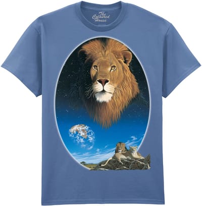 Leeuwen Serengeti Soul The Coloured House T-shirt 3XL