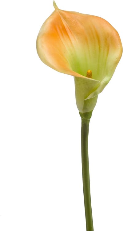 Kunstlelie Calla geel 70 cm