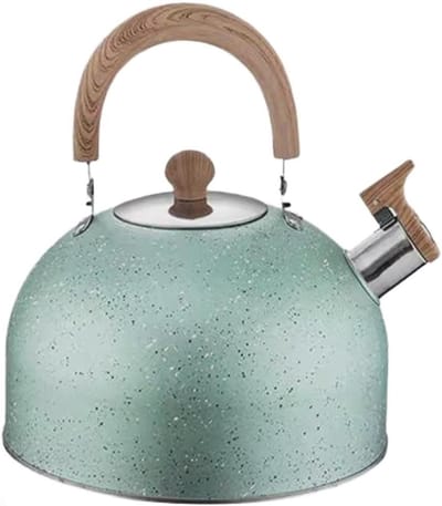 Waterkoker met fluitje - Theeketel fornuis - Water koken - Hittebestendig handvat - 2L 3L 4L - Groen