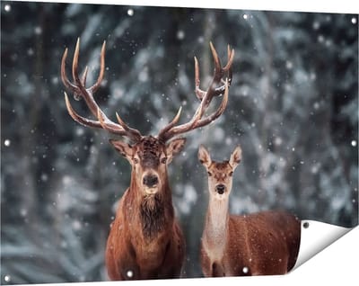 Gards Tuinposter Twee Herten met Sneeuw - 120x80 cm - Tuindoek - Tuindecoratie - Wanddecoratie buiten - Tuinschilderij