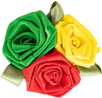 Broche roosjes limburg rood geel groen