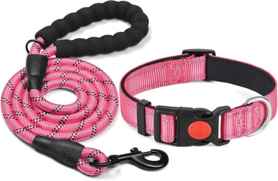 haapaw Hondenhalsband, reflecterend, gewatteerd, met zacht neopreen, ademend, verstelbaar, nylon, voor kleine, middelgrote en grote honden