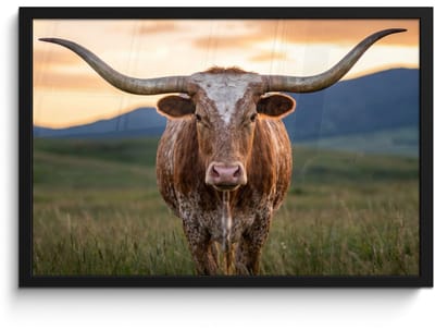 Poster in lijst - Fotolijst 60x40 cm - Posters - Longhorn - Landschap - Zonsondergang - Posterlijst zwart - Decoratie - Wanddecoratie woonkamer - Muurdecoratie slaapkamer