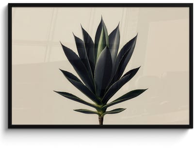 Poster in lijst - Fotolijst 120x80 cm - Posters - Agaveplant - Symmetrisch - Groen - Posterlijst zwart - Decoratie - Wanddecoratie woonkamer - Muurdecoratie slaapkamer