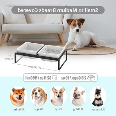 Verhoogde keramische voerbak voor middelgrote honden, dubbele voerbak met standaard, 2 × 1000 ml, ideaal voor hondenvoer en water