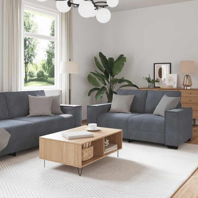 vidaXL - 2-delige - Loungeset - met - kussens - fluweel - donkergrijs