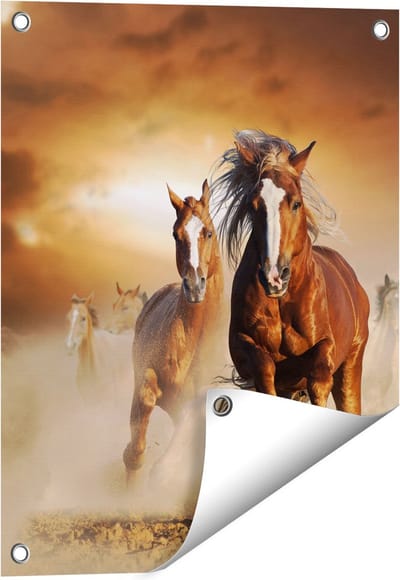 Gards Tuinposter Wilde Paarden in het Zand - 40x50 cm - Tuindoek - Tuindecoratie - Wanddecoratie buiten - Tuinschilderij