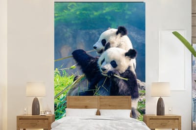 Behang - Fotobehang Panda - Bamboe - Gras - Dieren - Breedte 225 cm x hoogte 350 cm