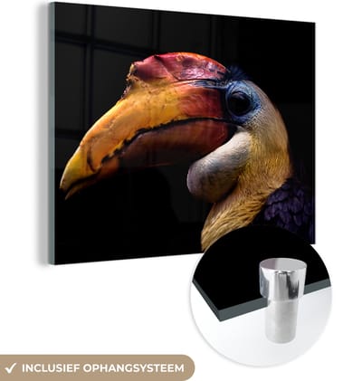 MuchoWow® Glasschilderij 160x120 cm - Schilderij acrylglas - Vogel - Snavel - Zwart - Foto op glas - Schilderijen