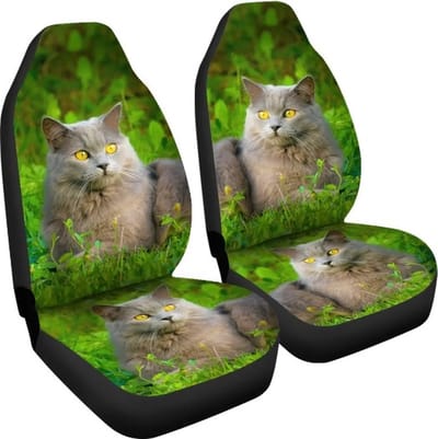 Stoelhoezen auto - Universeel - Stoelhoes voor in de auto - stoelovertrek - Chartreux - Karthuizer - poes - kat