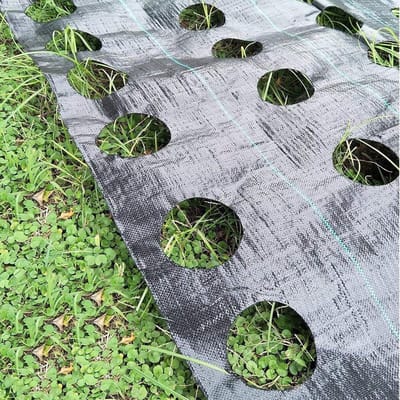 Onkruid Controle Mat - Worteldoek Tuin - Planten Beschermen - Ademend PE Materiaal - 100 x 360cm - Zwart