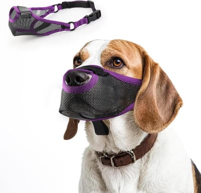Honden Muilkorf - Comfortabele Bek - Gedrag Sturen - Ademend Net - Maat L - Paars