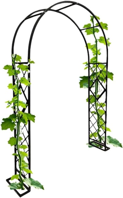 Tuinboog Prieel - Klimhulp Rozenboog - Planten Klimmen - Roestbestendig Staal - 180x240x40cm - Zwart