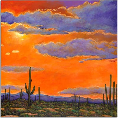Saguaro zonsondergang 5D DIY diamant schilderij landschap volledige ronde diamant borduurwerk 30x30CM brown