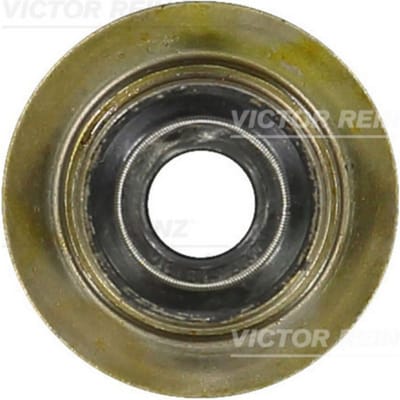 Victor Reinz Klepsteelpakking REINZ 70-35893-00
