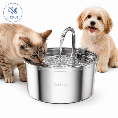 Caryota Katten Drinkfontein - Drinkbak Katten & Honden - 3.2L RVS Waterfontein - Extra Stil < 20 dB - BPA-vrij - Vaatwasserbestendig - Waterdispenser