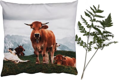 Sierkussens - Kussentjes Woonkamer - 40x40 cm - Dieren - Koe - Berg