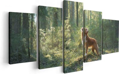Artaza Canvas Schilderij Vijfluik Retriever Hond In Het Bos Met Zon - 100x50 - Foto Op Canvas - Canvas Print