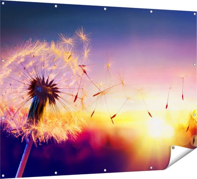 Gards Tuinposter Paardenbloem tijdens Zonsondergang - 160x120 cm - Tuindoek - Tuindecoratie - Wanddecoratie buiten - Tuinschilderij