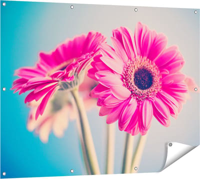 Gards Tuinposter Twee Roze Anjers - Bloemen - 120x90 cm - Tuindoek - Tuindecoratie - Wanddecoratie buiten - Tuinschilderij