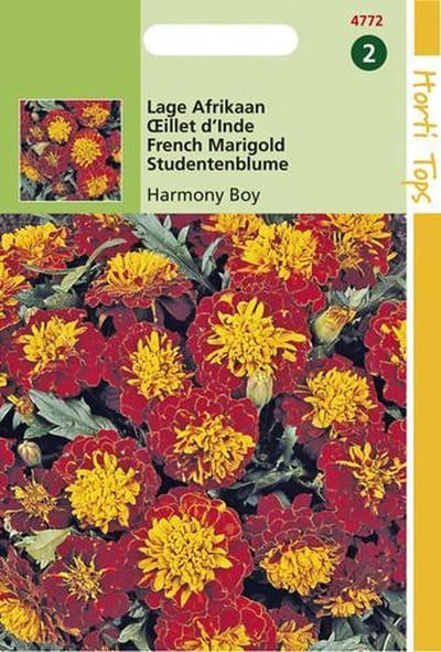 Hortitops Zaden - Tagetes patula nana Petite Harmony