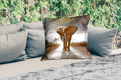Sierkussen Buiten - Olifant - Weg - Dieren - Zonsondergang - Landschap - 60x60 cm - Weerbestendig