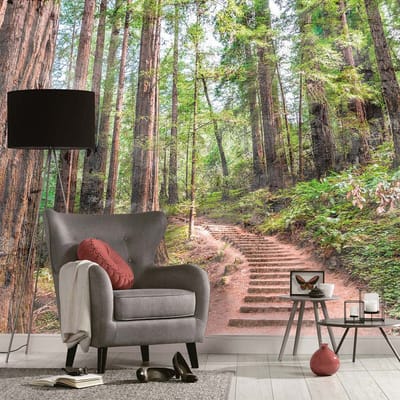 Fotobehang bos groen bruin, Bosbehang in 3,50 x 2,55 m, 3D vliesbehang met bomen, BRICOFLOR.nl