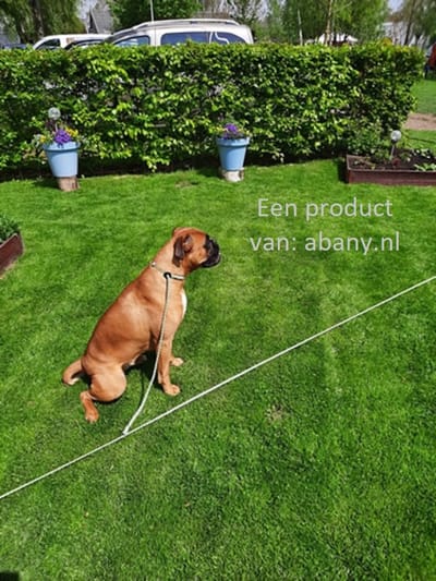 Abany quality design - vakantielijn - grijs – 3 meter  hondenlijn - 2x hondenpin - grondpin hond - aanlegspiraal hond - aanleglijn - grondanker hond - vastlegspiraal - grondpen - met aanleg kabel  - hondenanker – aanlegspiraal - 15R21001