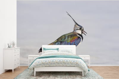 Behang - Fotobehang Vogel - Dieren - Zand - Kievit - Breedte 375 cm x hoogte 280 cm